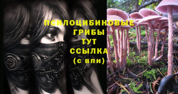ECSTASY Осинники