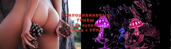 спайс Осташков