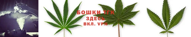 ECSTASY Осинники