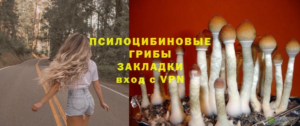 ECSTASY Осинники