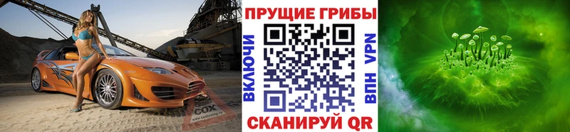 Псилоцибиновые грибы Psilocybine cubensis  купить наркоту  Кораблино 